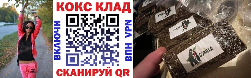 COCAIN Columbia Кедровый