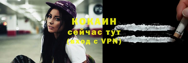 мет Дмитриев