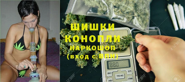мет Дмитриев