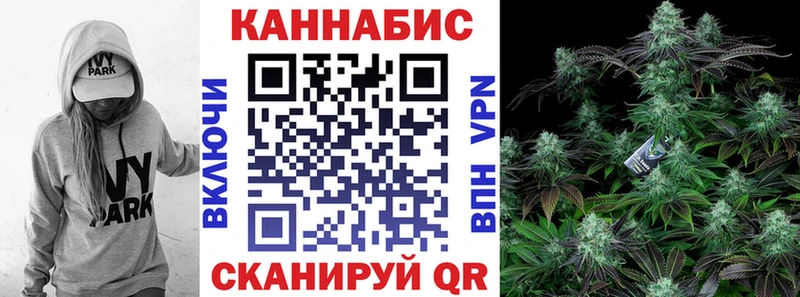 Канабис план  купить наркотики сайты  Кедровый 